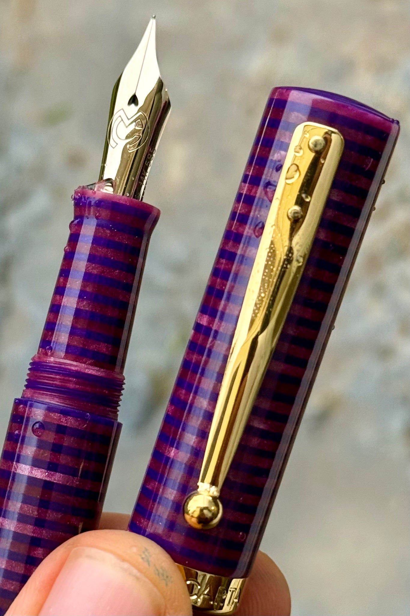 Magna Carta Mag 600 Fountain Pen True Flex Nib - Purple Striped