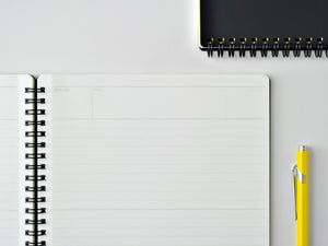 Maruman Mnemosyne Notebook - B5 Dotted