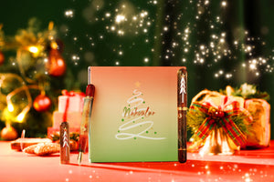 Nahvalur Nautilus Xmas 2024 Fountain Pen