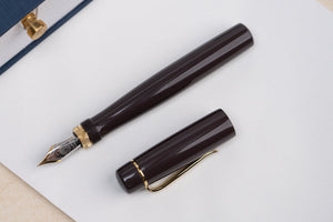 Ulpia 117 Ebonite Fountain Pen - Brown