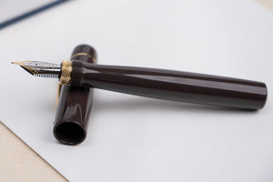 Ulpia 117 Ebonite Fountain Pen - Brown