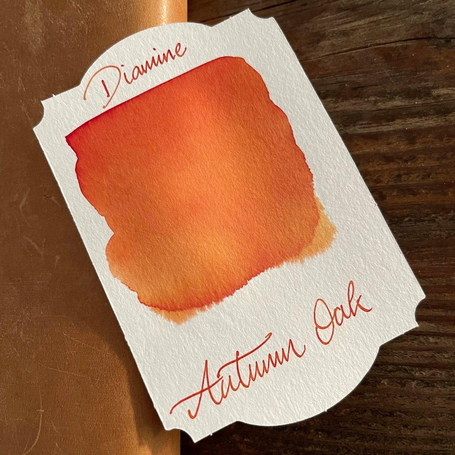 Diamine A Night in Jodhpur Ink